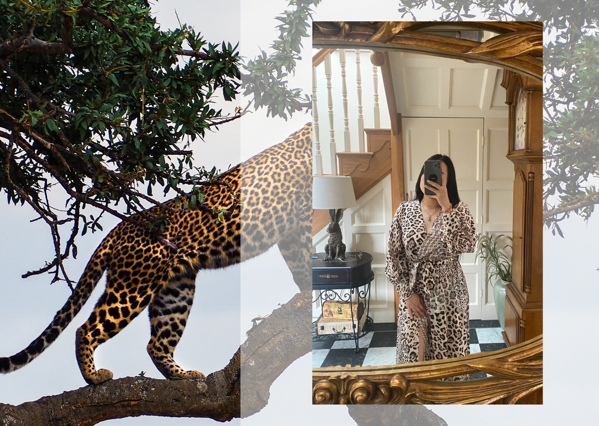 Leopard Print dress.jpg